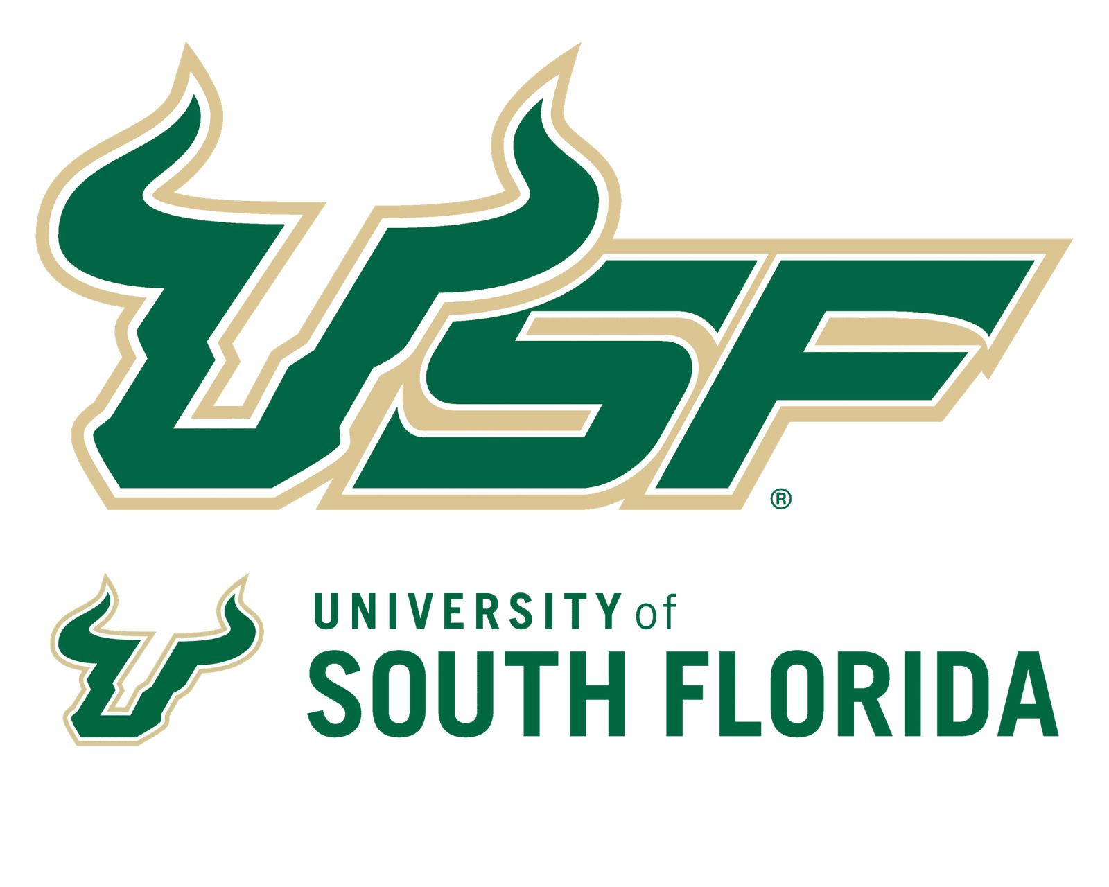 Privado: University of South Florida